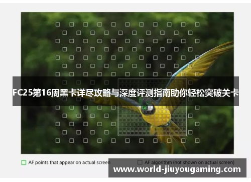 FC25第16周黑卡详尽攻略与深度评测指南助你轻松突破关卡