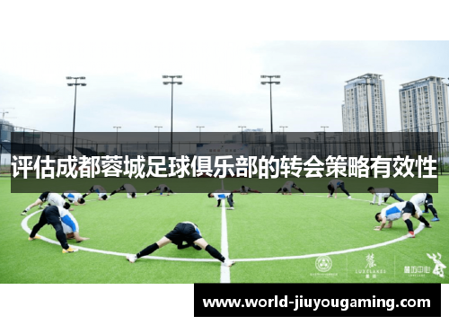 评估成都蓉城足球俱乐部的转会策略有效性