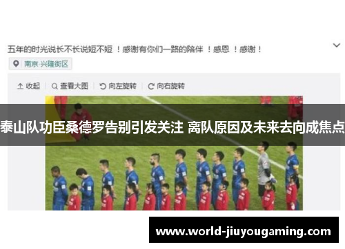 泰山队功臣桑德罗告别引发关注 离队原因及未来去向成焦点