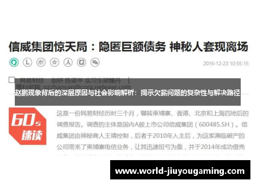 赵鹏现象背后的深层原因与社会影响解析：揭示欠薪问题的复杂性与解决路径