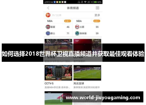 如何选择2018世界杯卫视直播频道并获取最佳观看体验
