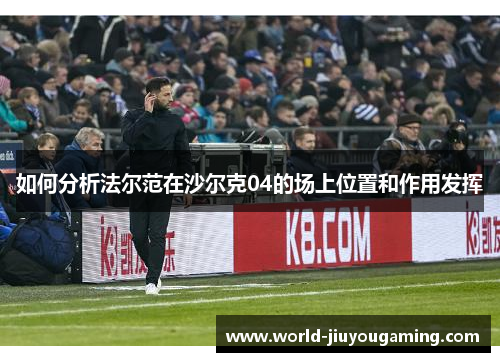 如何分析法尔范在沙尔克04的场上位置和作用发挥