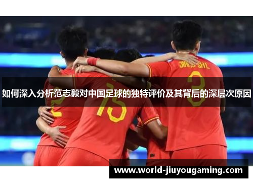 如何深入分析范志毅对中国足球的独特评价及其背后的深层次原因