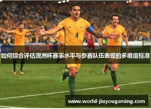 如何综合评估澳洲杯赛事水平与参赛队伍表现的多维度标准