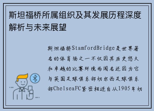 斯坦福桥所属组织及其发展历程深度解析与未来展望 斯坦福桥所属组织及其发展历程深度解析与未来展望