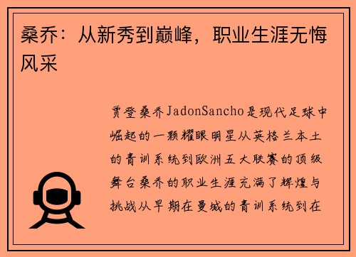 桑乔:从新秀到巅峰,职业生涯无悔风采 桑乔:从新秀到巅峰,职业生涯无悔风采
